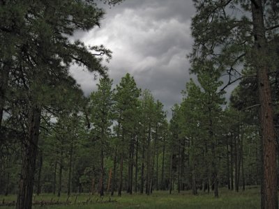 Storm clouds on Mars Hill