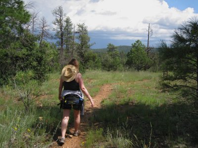 The trail towards Walnut Canyon