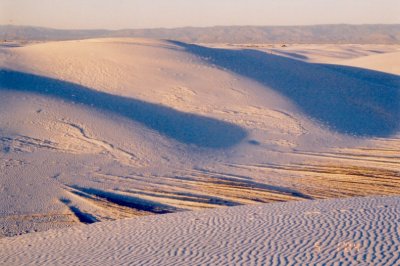 Diane's pic 3: Late afternoon dunes