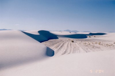Diane's pic 6: Morning on the dunes