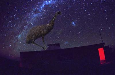 Two emu against the Milky Way