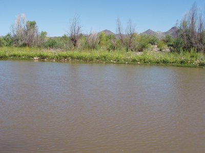 Verde River eastern shoreline