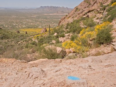 Blue mole overlooks the flanks of the Superstitions
