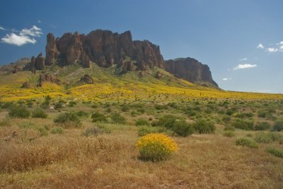 Superstitions and brittlebush blooms 3