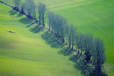 Ombres vertes