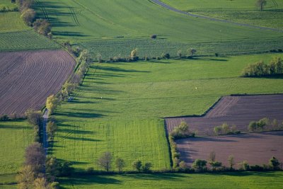 Le terrain