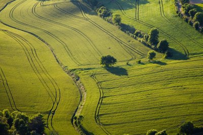 Vert vallon