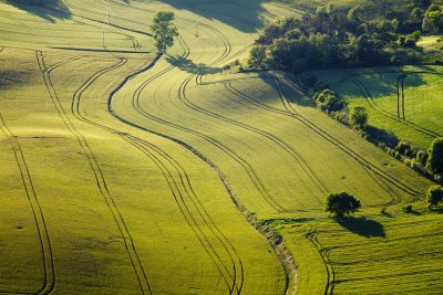 Vert vallon