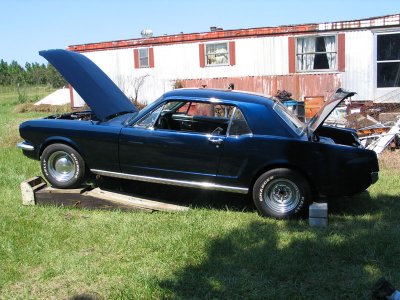 66 Stang.jpg