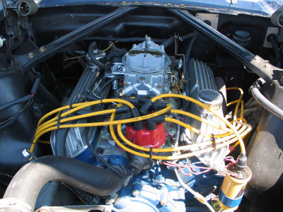 289 Engine.jpg