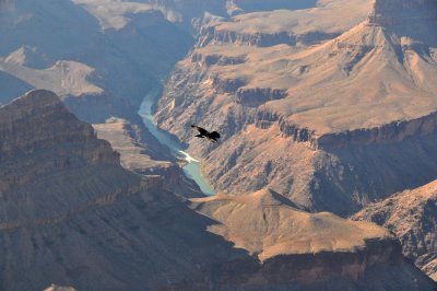 the_grand_canyon