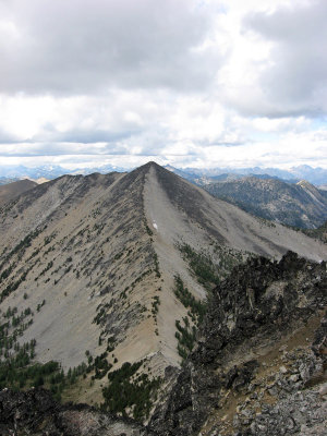 Courtney Peak from Star