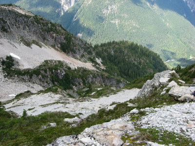 Gully and Forest Below