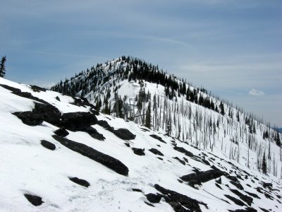 Colville N.F. - Snow Peak