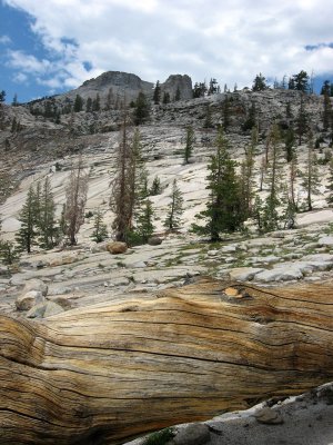 Yosemite Scenery
