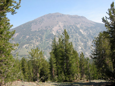 Mount Rose