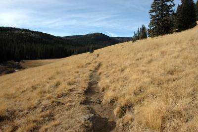 Baldy Meadow Trail