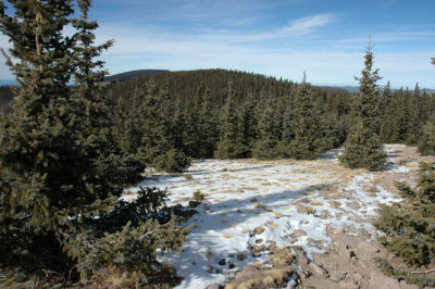 Patchy Snow and Forested Mtns