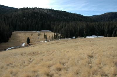 Frozen Little Colorado River