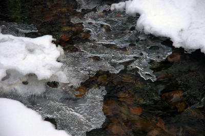 Ice and Snow on Creek