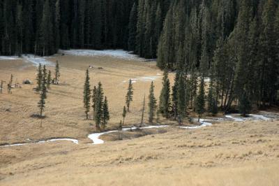 More Meadows