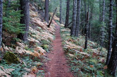 Lower Trail