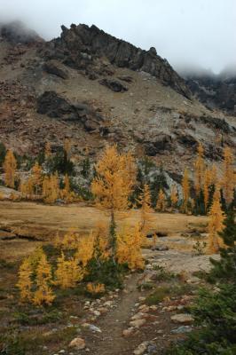 Headlight Basin to Ingalls Peaks