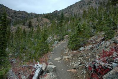 Trail to Ingalls Pass