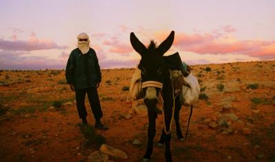Tuareg shepherd and donkey