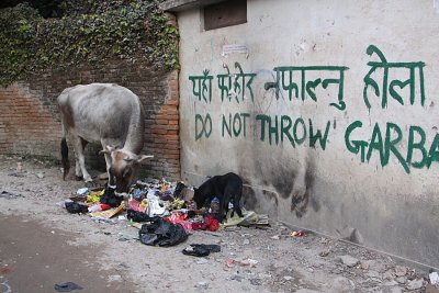 Do not throw garbage ...
