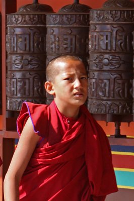 Young monk