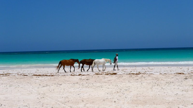 Harbour Island, Pink Sands