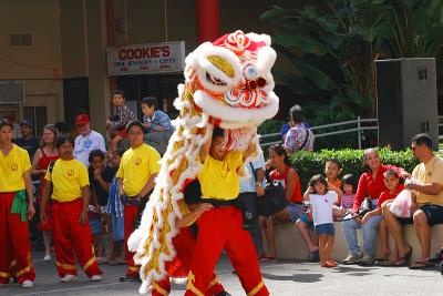 Chinese New Year - Lion Dance