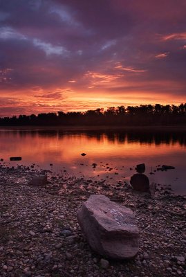 The river bank