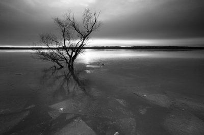 In the frozen river