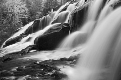 Bond falls