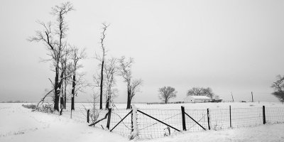 Winter farm