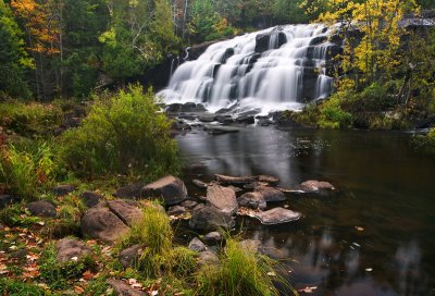 Bond falls