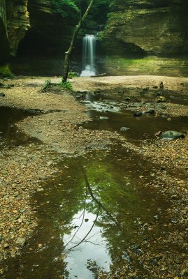 Falls & tree