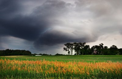 The clouds