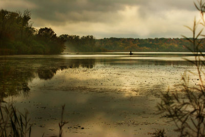 Fishing