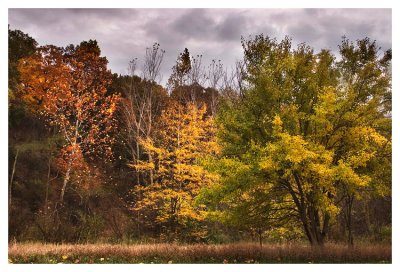 Autumn impression