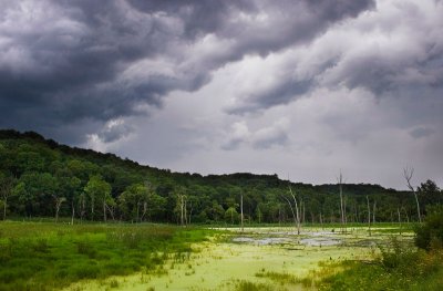 Green land