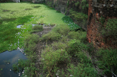 Part of a moat