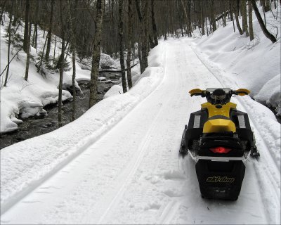 trailside.jpg