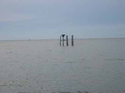 DSCN0055.JPG