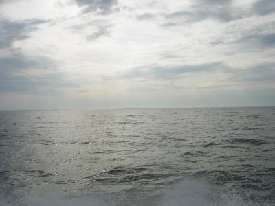 DSCN0074.JPG