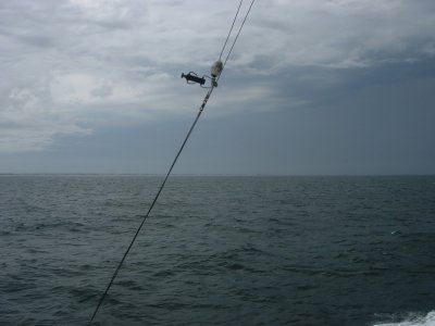 DSCN0083.JPG