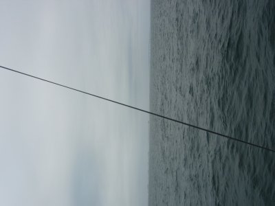 DSCN0086.JPG