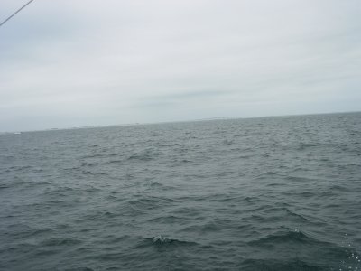 DSCN0087.JPG